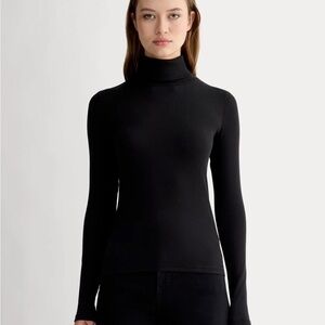 Everlane Luxe Ribbed Knit Turtleneck